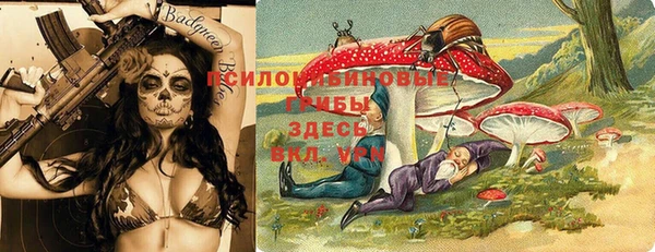 дмт Алексеевка