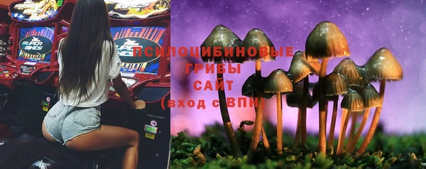 СК Новодвинск